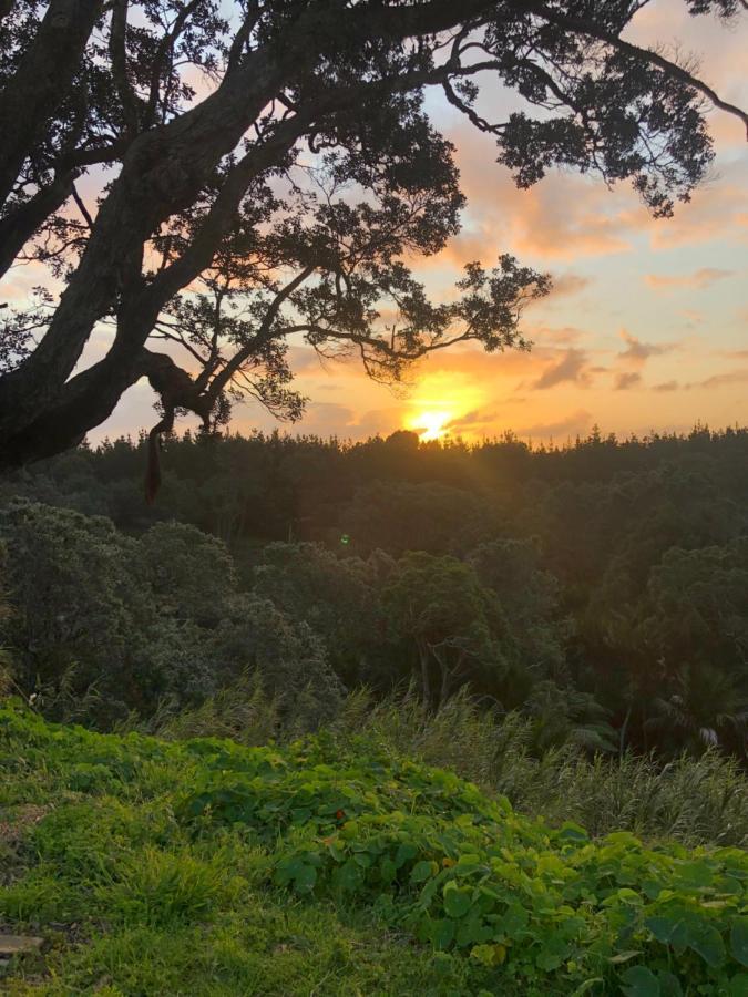 Muriwai Lodge المظهر الخارجي الصورة