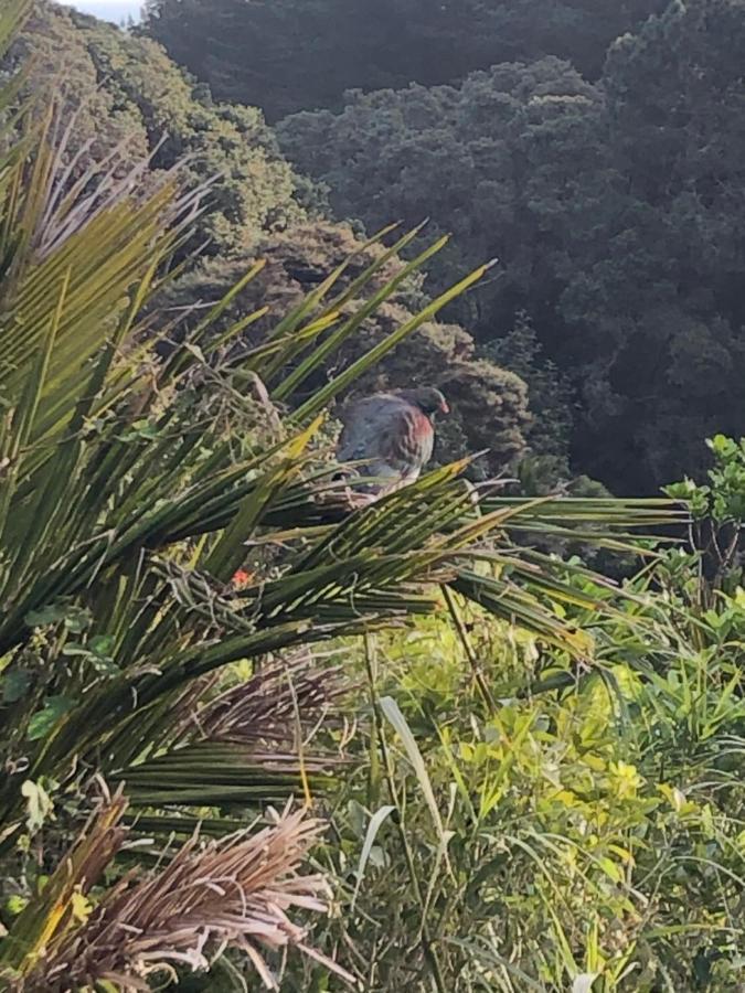 Muriwai Lodge المظهر الخارجي الصورة